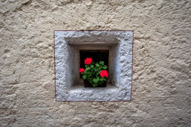 San Martino di Castrozza Trento İtalya 'da küçük bir pencere üzerinde sardunya vazosu