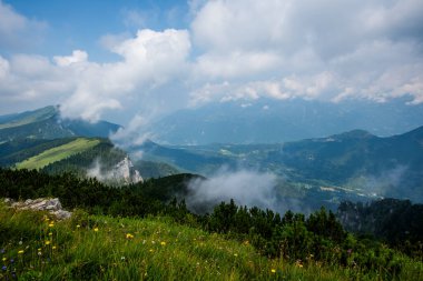 İtalya, Asiago 'daki dağ manzarası. Orman yamaçlarının ve dağlık çayırların üzerinden sis yükseliyor. İtalyan Alplerinde vahşi yaşam, sükunet, eko turizm ve doğal uyum kavramı.