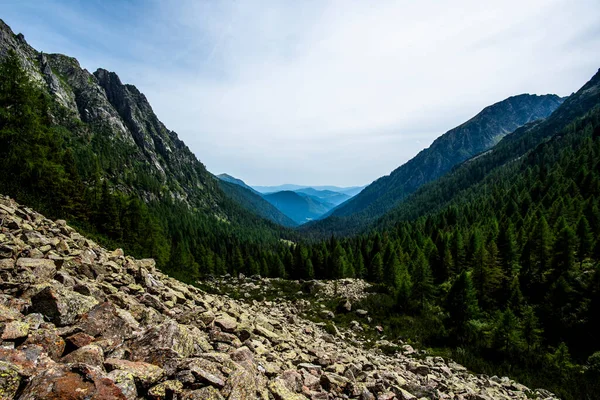 Lagorai dağlarındaki engin alp vadisi, Trentino, kayalık arazi ve yoğun çam ormanları sakin bir yaz gökyüzü altında mavi sisli ufuklara uzanıyor.