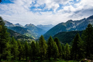 İtalya 'nın Trentino kentindeki Lagorai dağ vadisinde yoğun yeşil ormanlar, dik yamaçlar ve parlak gökyüzünün altındaki uzak dağlık tepeler var..