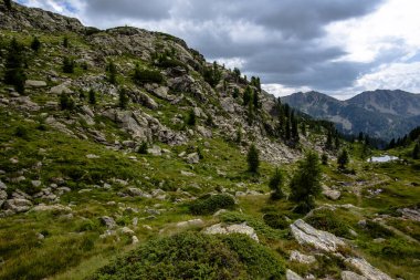 Lagorai dağlarında yüksek dağlık bir plato, Trentino, İtalya, engebeli kayalık arazi, dağınık çam ağaçları ve bulutlu gökyüzünün altında heybetli tepeler.