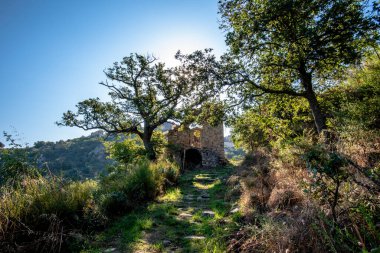 Corte, Korsika, Fransa yakınlarındaki tepelerde meşe ağaçları arasında antik bir taş şapele giden günışığı patikası. Güçlü güneş ışığı ve doğal dokular ruhaniliği, esnekliği ve zamansız mirası iletir..