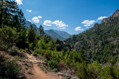 Engebeli yamaçları ve Corte, Korsika, Fransa 'da açık gökyüzü olan yeşil bir vadiyi geçen dağ yürüyüşü yolu. Manzaralı açık hava manzarası özgürlük, dayanıklılık ve yavaş seyahat deneyimlerini gösteriyor..