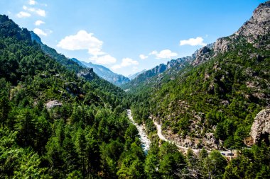 Yoğun çam ormanlarıyla kaplı derin dağ vadisi kayalık yamaçlar ve altında açık bir nehir var. Corte, Corsica, Fransa 'daki el değmemiş doğal manzara, doğa koruma, sürdürülebilirlik ve seyahat kavramları için ideal.