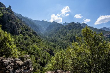 Yoğun çam ormanları ve dramatik ışık ve bulutlar altında kayalık tepelerle kaplı derin dağ vadisi. Corte, Corsica, Fransa 'daki görkemli doğal manzara, vahşi doğa, ölçek ve el değmemiş Akdeniz doğasını ifade ediyor..
