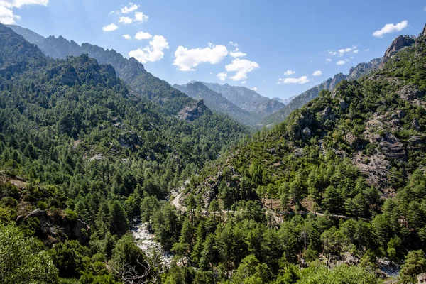 Nehir ve dolambaçlı yolu olan geniş panoramik bir dağ vadisi manzarası. Fransa 'nın Corte kentindeki görkemli Korsika manzarası ölçeği, doğa ve insan varlığı arasındaki dengeyi ifade ediyor..