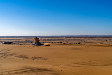 Mısır 'ın yakınlarındaki Beyaz Çöl' de tebeşir kireç taşının üzerinde duran fosil kabuğun yakın görüntüsü, dokuyu ve eski deniz tarihini vurguluyor..