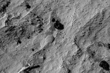 Giza yakınlarındaki Mısır çöllerinde uzak araçlar ve tepelerle uzanan uzun düz bir yol. İlerleme, mesafe ve izole seyahat yolları için metafor.