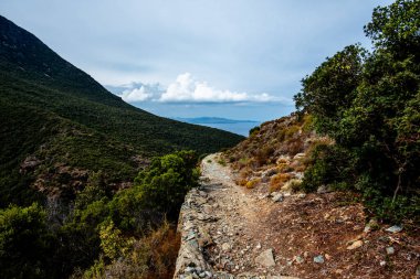 Dar bir kıyı yürüyüşü yolunun yüksek görüntüsü kayalık arazi, yoğun bitki örtüsü ve bulutlu bir gökyüzünün altındaki uzak deniz. Seyahat, açık hava eğlencesi ve doğa temaları için uygun..