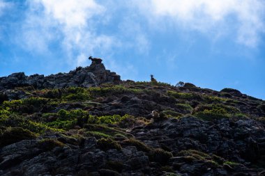 Parçalı bulutlu mavi gökyüzünün altında alçak bitki örtüsü olan kayalık bir dağ yamacındaki çoklu keçi manzarası. Vahşi yaşam, doğa ve engebeli arazi kullanımları için uygundur..