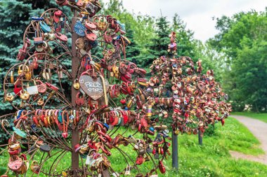 Rusya, Yaroslavl, Temmuz 2020. Aşkın sembolü olarak çok renkli kilitleri olan uzun bir sıra demir ağacı..
