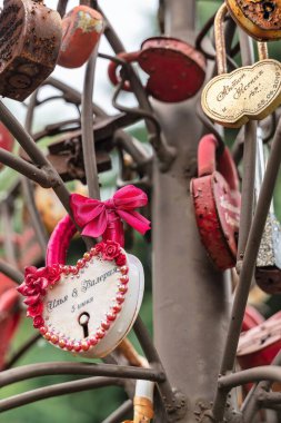 Rusya, Yaroslavl, Temmuz 2020. Kilitli metal aşk ağacı, güçlü bir evliliğin sembolleri..