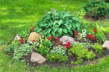 Doğal bir arkaplan olarak granit taşlı çiçek yatağı.