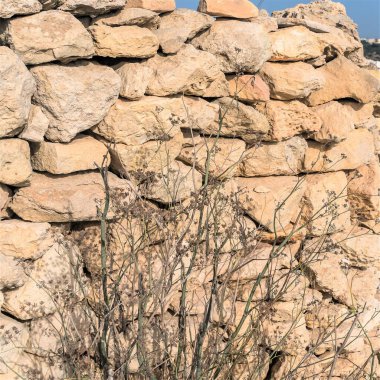 Malta, Marsaxlokk, Ağustos 2019. Doğal taş duvar ve kuru bitki.