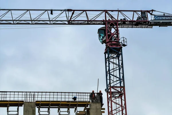Rusya, Valdai, Ağustos 2021. Turna ve kurucular yeni bir ev inşaatı üzerine.