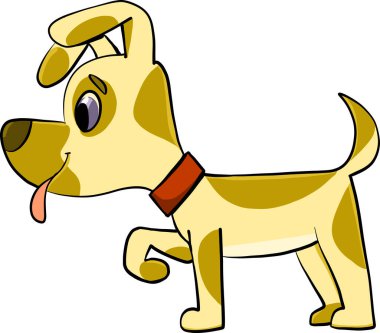  Kalkmış kulaklı küçük benekli köpek yavrusu.