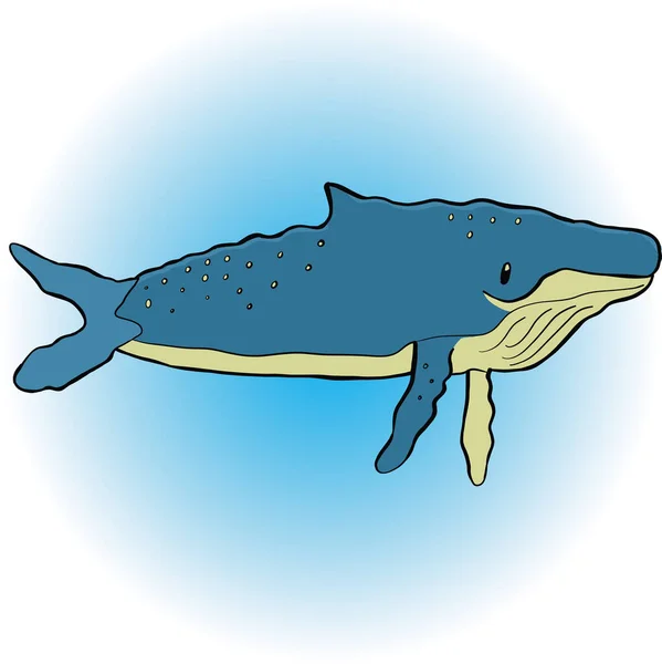 青いザトウクジラは子供の絵として — ストックベクタ