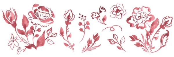 Акварельна Ілюстрація Квітковими Елементами Класичному Стилі Збірка Мальованих Елементів Вашого — стокове фото