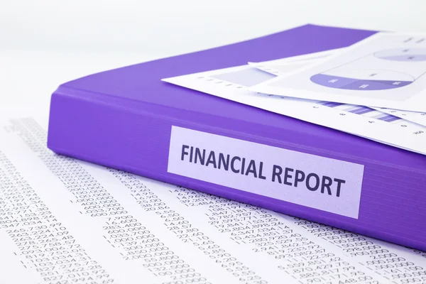 Financial accounting report with sale and purchase statement — Stock Photo, Image