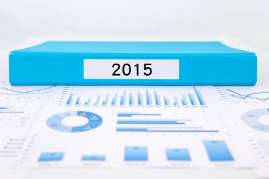 Yıl sayı 2015, grafikler, Çizelgeler ve mali analiz raporları