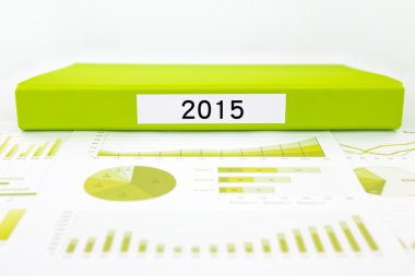 Yıl sayı 2015, grafikler, Çizelgeler ve iş bütçe planlama