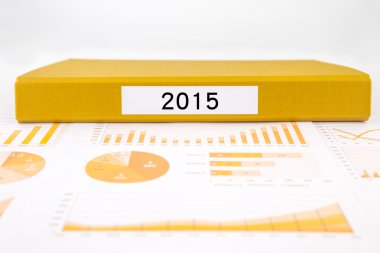 Yıl sayı 2015, grafikler, Çizelgeler ve iş faaliyet raporları