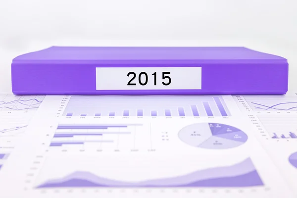 Year number 2015, graphs, charts and market trend reports — Stock Photo, Image