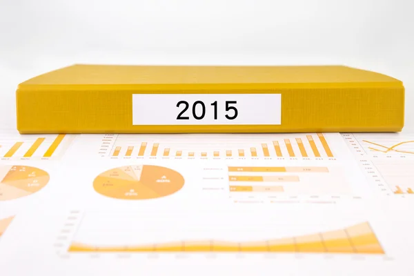 Year number 2015, graphs, charts and business annual reports — Stock Photo, Image