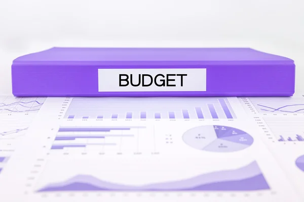 Budget management with graphs, charts and financial plan — Stock Photo, Image