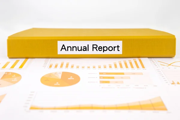 Rapport annuel d'entreprise, graphiques, graphiques et évaluation des projets — Photo