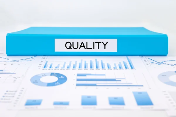 Quality management plan with, graphs, charts and business evalua — Stock Photo, Image