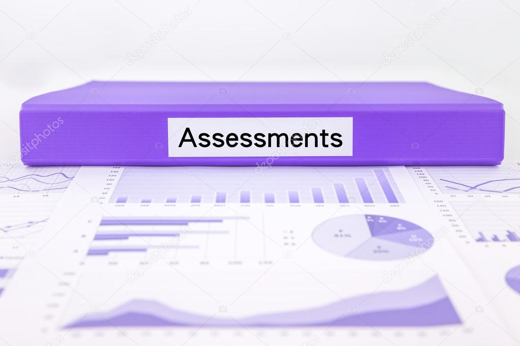 Assessment documents, graphs, charts and summary report