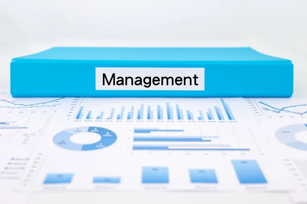 Geschäftsstrategisches Management mit Graphenanalyse und -auswertung — Stockfoto