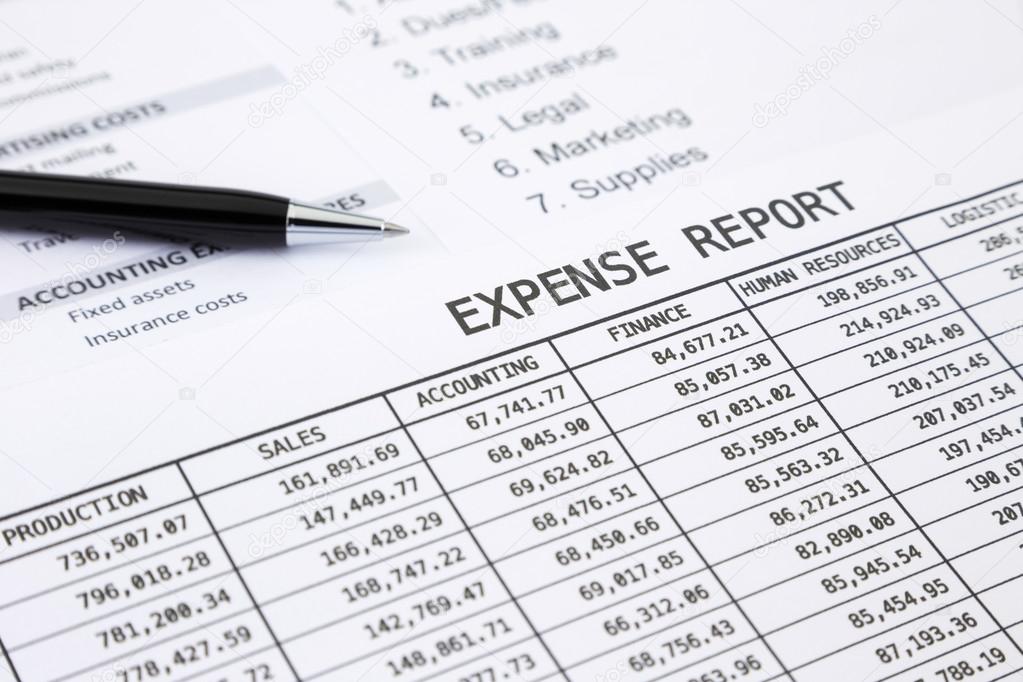 Annual expense report