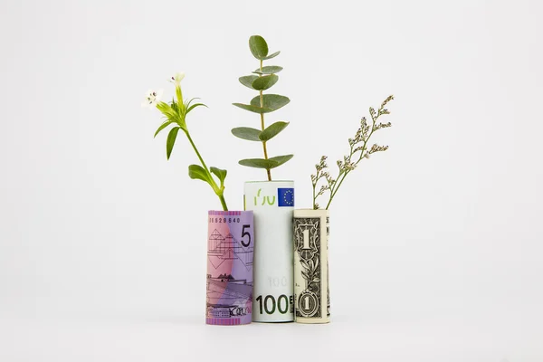 Bank notes and plants — Stock Photo, Image