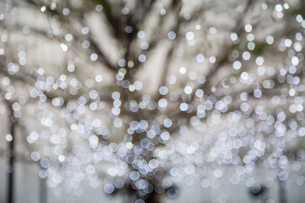 Abstract photo of winter tree and glitter bokeh lights