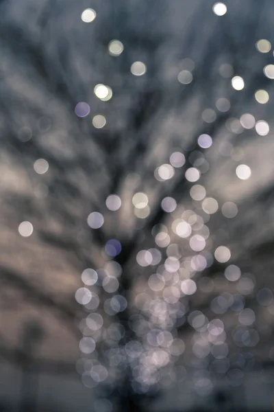Niewyraźne noc światła na drzewo liściaste — Zdjęcie stockowe