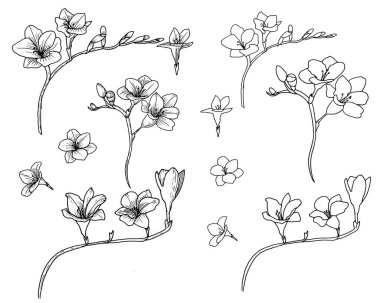 İzole edilmiş frezalar. Vektör.