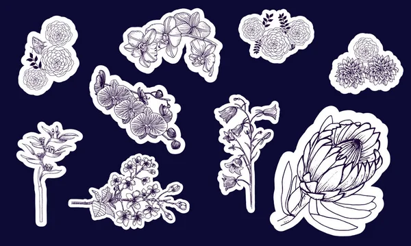Bir çiçek çıkartması seti. Grafik tasarımı, vektör