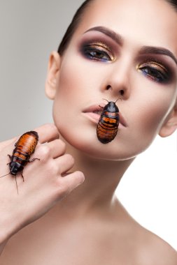 yenilebilir exotica