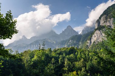 İsviçre Alpleri 'nin sarp kayalıkları yemyeşil ormanlarla kaplı güzel manzarası. Alçak bulutlar açık mavi bir gökyüzünün altında dağ zirveleri etrafında sürüklenirler. Alp yabanda bir yaz günü, İsviçre doğasının saf güzelliğini ve gücünü sergiliyor..