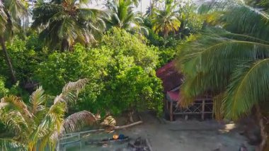 Sikandang Adası 'ndaki yoğun tropikal bitki örtüsünde alçak irtifa drone uçuşu. Palmiye ağaçlarını ve ormanda gizlenmiş küçük bir kulübeyi ortaya çıkarıyor. Okyanus görünmüyor..
