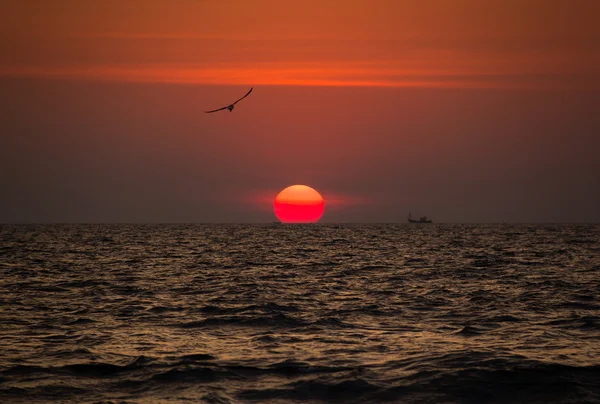 Beautiful sunset with birds and ships on the Goa Beach, India — Stock Photo, Image