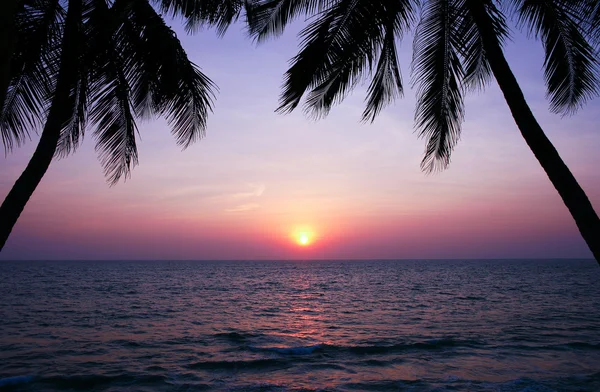 Vacker solnedgång över havet och palm träd silhuetter. — Stockfoto