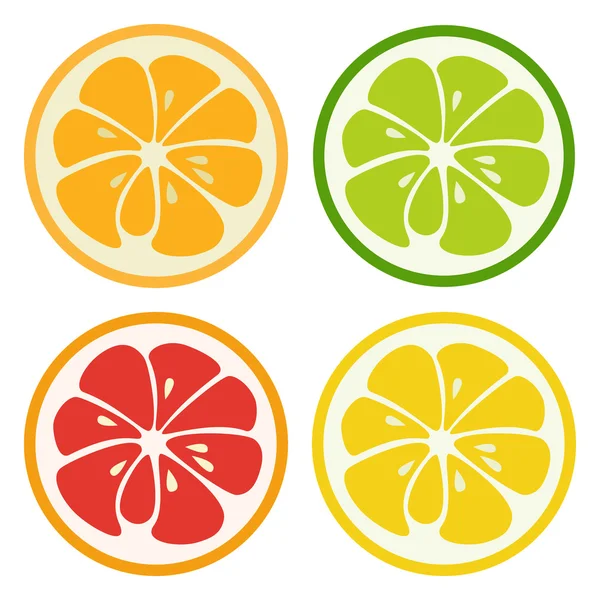 Typer av citrusfrukter. Illustration — Stockfoto