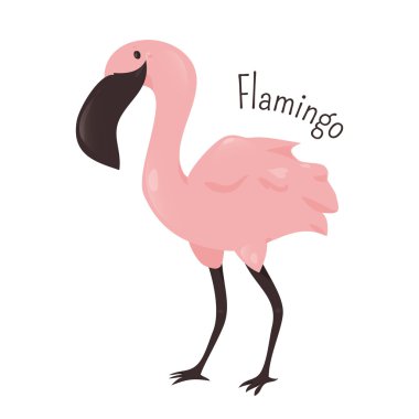 Beyaz izole karikatür pembe flamingo