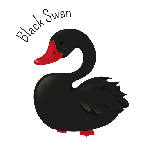 Cisne Negro aislado en blanco. Aves acuáticas grandes — Archivo Imágenes Vectoriales