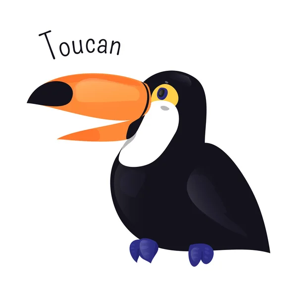 Tucano uccello dei cartoni animati isolato su bianco — Vettoriale Stock