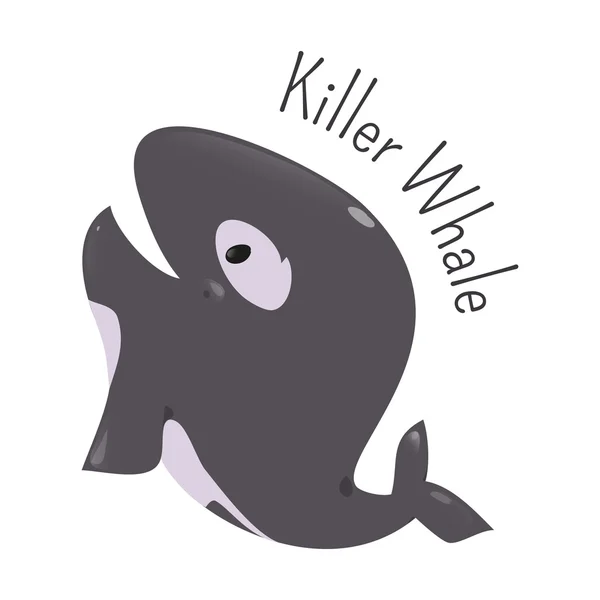 Killer wieloryb na białym tle. Ikona zabawy dla dzieci. — Wektor stockowy