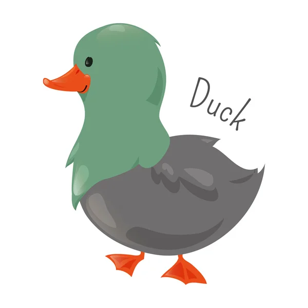 Duck isolated. Sticker for kids. Child fun icon. — Stock Vector